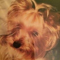 Baylee Spirlock