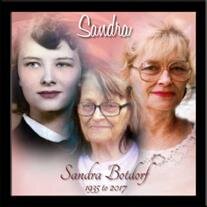 Sandra Botdorf