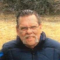 Mark D. Calkins