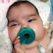 Marcellina Jessiah Rodriguez