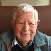 Robert G. Ringo