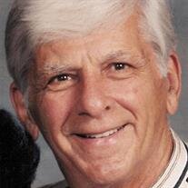 Peter N. Salamino