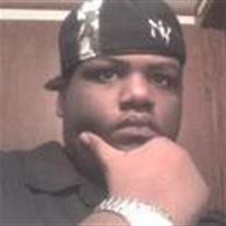 Mr. Lloyd Lewis Trent Jr.