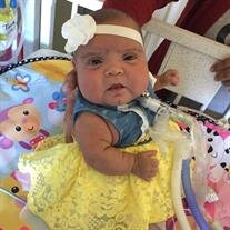 Cherokee Elle Alvarado