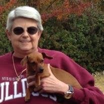 Terri Whitworth Bailey