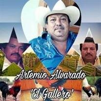Artemio Albarado