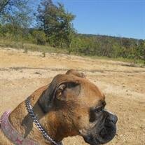 Miss Maggie Vaught