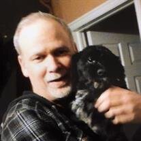 David Wayne  Phillips