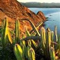 Fernando Emilio Perez Ochoa