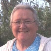 Paula V.  Riehl