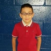Abraham M Luna