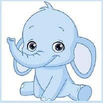 Baby Boy Halsey