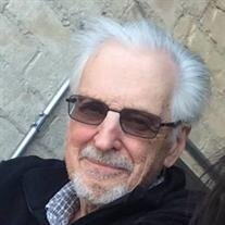 Mr. Emerson Brian Denike