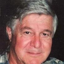 Mr. Gerhard Hofbauer