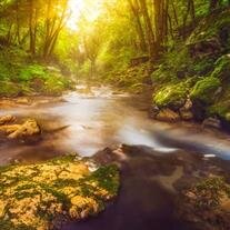 Hojatollah Karimpour