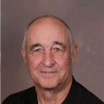 Darrell  Stout