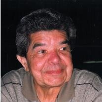 Wayne  George  Bull 