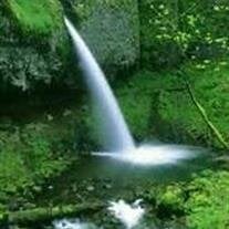 Robert  David Gregory