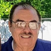 Victor E. Castro Salinas