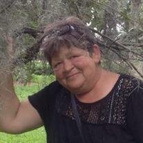 Shelia Ann Ballenger