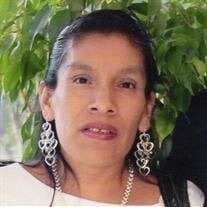 Patricia Hernandez Gutierrez