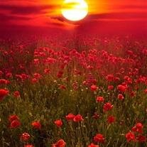 Catherine L. "Kitty" Pickett