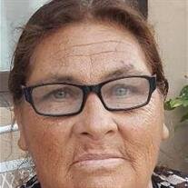 Ludivina Garcia