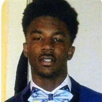 D'Andre E. McLaughlin