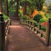 Mrs. Beverly Greene Adcock