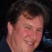 David  P Phillips