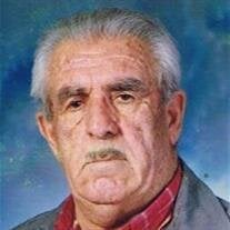 George Davoud-Pourian