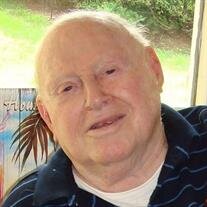 Albert E. Mills
