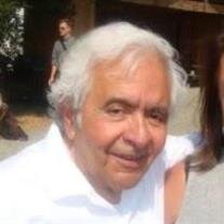 Fereidoon Faramarzpour