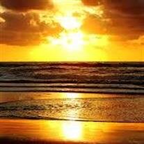 Dr. Patricia A. Ross