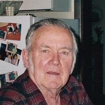 Lewis Allen Mankins