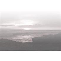 Raymond Forest Williams