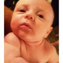 Easton Michael Culp