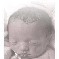 Harry James Stelly
