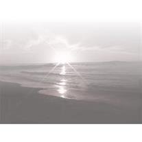 Harvey Lee Broussard