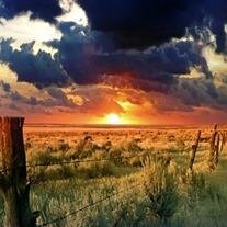 James Rayburn "Jim" Lewis