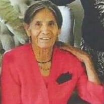 Belen Trevino Casanova
