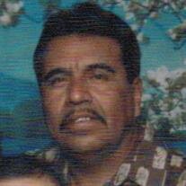 Froylan Baltazar Pena