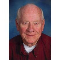 David O. Stein