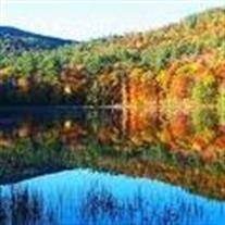 Ward Fletcher Archer