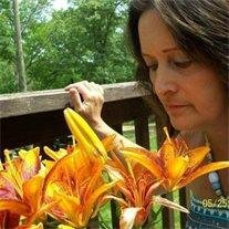 Tamara Lynn  Browers Reed