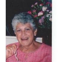 Paula Stein