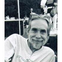 Michael J. Schlesinger