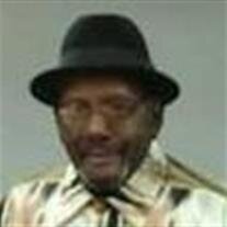 Mr. Adam Landor Jr.