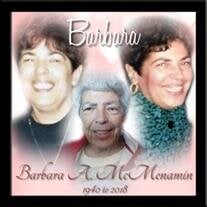 Barbara A. McMenamin