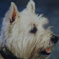 Duffy Sligh